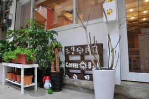a store front with plants in front of a window at 3 Feet Cat in Nangan