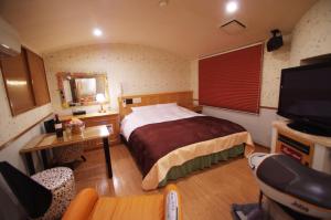 a bedroom with a bed and a desk and a television at Alohain Yonago in Yonago
