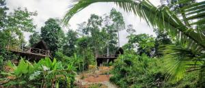 Сад в Jungle bar Resto & Cottages