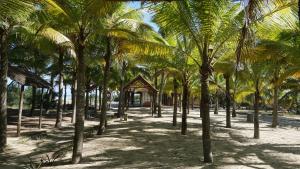 Gallery image of Tam Thanh Natural Beach Resort in Tam Kỳ