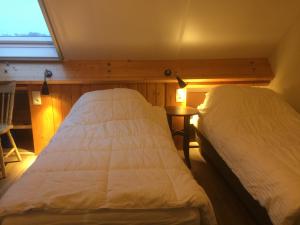 a bedroom with two beds and a window at Luttelkolen in Holsbeek