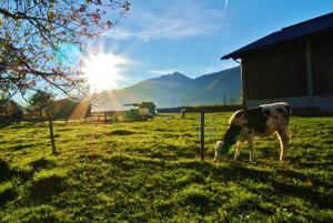 Paesaggio naturale nelle vicinanze del bed & breakfast