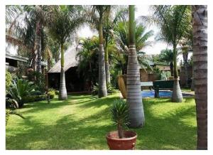 a yard with palm trees and a swimming pool at Lala Bela Guest House in Bela-Bela