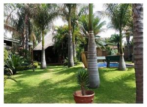 Taman di luar Lala Bela Guest House