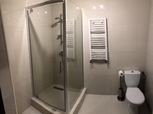 uma casa de banho com um chuveiro e um WC. em Hotel Restauracja Prezydencka em Legionowo