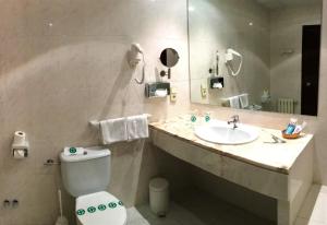 a bathroom with a sink and a toilet and a mirror at Hotel Roc Del Castell in Canillo