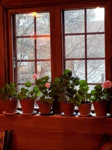 Fotografie z fotogalerie ubytování Vargheden B&B och trädgård v destinaci Malung