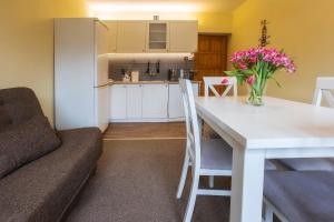 Kuchnia lub aneks kuchenny w obiekcie Bastówka Apartamenty