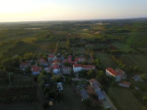 Příroda nedaleko apartmánu