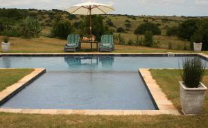 Πισίνα στο ή κοντά στο Leeuwenbosch Country House - Amakhala Game Reserve