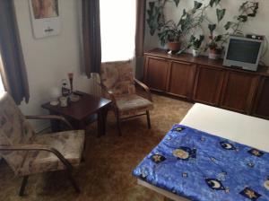 sala de estar con sillas, mesa y TV en AT Pension, en České Budějovice