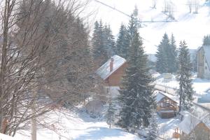 Foto de la galería de Arnica Montana en Arieşeni