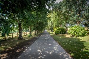 Zahrada ubytování Greenway Manor Hotel