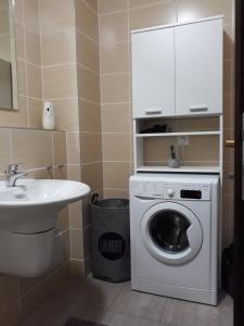 a bathroom with a washing machine and a sink at Tampa Gardens - Mountain View Apartment in Braşov