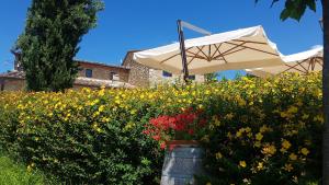 Zahrada ubytování Poggio Cennina Resort