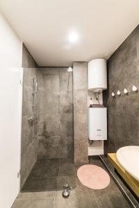 a bathroom with a shower and a sink at Flex Apartments Tour As Ljubljana in Ljubljana