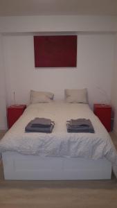 ブリュッセルにあるCentral Appartment 2 bedroomsのベッドルーム1室(ベッド1台、タオル2枚付)
