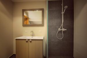 un bagno con doccia, lavandino e specchio di B&B Stillant a Gierle