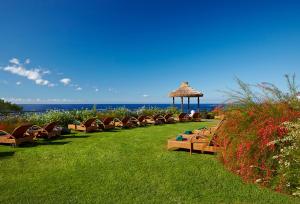 eine Reihe von Bänken, die auf dem Gras in der Nähe des Ozeans sitzen in der Unterkunft Hotel Porto Mare - PortoBay in Funchal