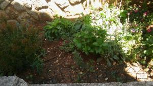 Zahrada ubytování Apartmani Vitković II Cres