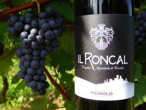 Fotografia z galérie ubytovania Il Roncal Wine Resort - for Wine Lovers v destinácii Cividale del Friuli