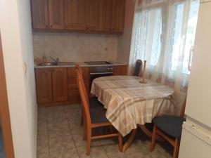 a kitchen with a table and chairs and a sink at Otok Krk Apartments in Čižići