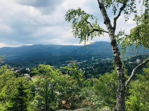 Príroda v okolí apartmánu