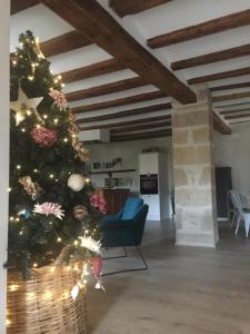 a christmas tree with lights in a living room at Lastias in Valderrobres