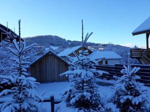 una cabaña con árboles nevados delante de ella en L appart' du bonheur en Ancelle