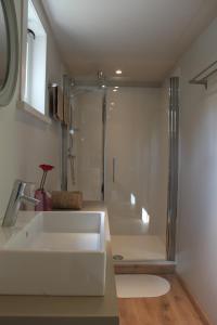 a bathroom with a white sink and a shower at B&B Het Brembos in Wingene