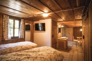 a bedroom with two beds and a television in a room at Gabis kleine Spezerey in Gries am Brenner