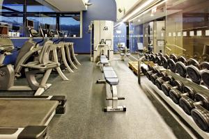 Holiday Inn Santo Domingo, an IHG Hotel tesisinde fitness merkezi ve/veya fitness olanakları