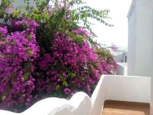 Galeriebild der Unterkunft Apartamento Faro de Sardina in Gáldar