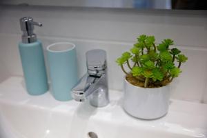 Fotografie z fotogalerie ubytování Antalóczy Winery&Apartments v destinaci Tokaj + 60 fotografií