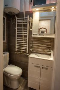 a small bathroom with a toilet and a sink at Knez Mihailova Apartman in Belgrade +17 photos