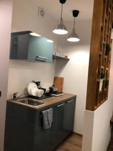 cocina con fregadero y encimera en K&P Apartment en Vilna