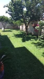 a green yard with a tree and shadows on the grass at CLARISSABEB in Fiumicino +5 photos