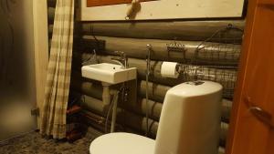 TammelaにあるHilupilttuuのバスルーム(トイレ、洗面台付)
