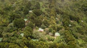 an aerial view of a forest with a house at Los Pinos Cabins & Reserve in Monteverde Costa Rica