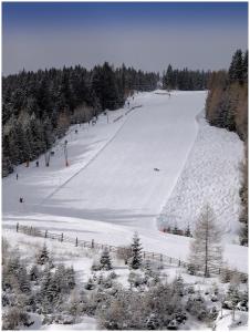 Gallery image of Moasterhaus Trialpark Salzstiegl in Hirschegg Rein