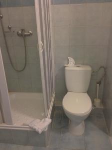 a bathroom with a toilet and a shower at Hotel Prim in Bratislava