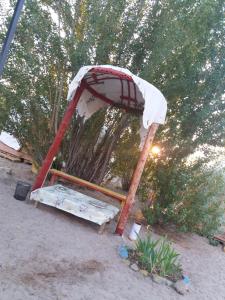 Zahrada ubytování Yurt camp Tosor