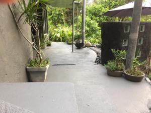 Zahrada ubytování Earthship Daintree