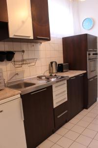 ハイドゥソボスローにあるIldikó Apartmanのキッチン(シンク、コンロ付) 上部オーブン