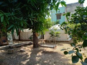 a tree with a swing in front of a tent at Nature Trail camps & Homestay in Jodhpur