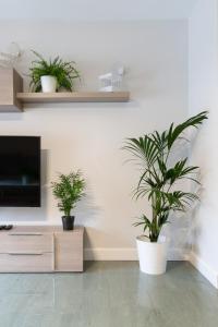 a living room with two potted plants and a tv at Apartamentos Circulo De Artistas in Ronda