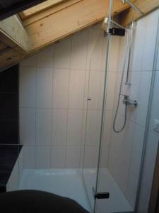 eine Dusche mit Glastür im Bad in der Unterkunft The Chalet in Gstaad