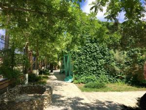 a tree lined street with a green gate and a sidewalk at Guest House Golubaya Buhta in Kuchugury