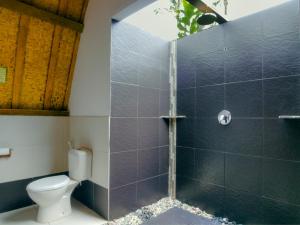 een badkamer met een toilet en een douche bij Chill Out Bungalows in Gili Air