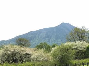 a mountain in the distance with trees and a fence at Shiunso in Nikko